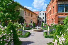 Rosengarten mit Blick auf Bibliothek und Museum