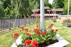 an der Stadtparkbrücke Sömmerda