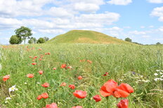 Blick auf den Leubinger Fürstenhügel