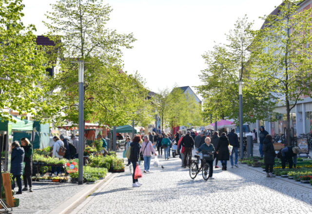 Blick in die Marktstraße beim Gartenmarkt. Die Marktstraße in Sömmerda. Zwischen gründenden Bäumen rechts und links des Fahrbereichs haben zahlreiche Händler ihre Waren zum Gartenmakrt ausgebreitet. Auf der breiten Fahrsstraße laufen viele Leute. Etliche halten an Ständen an und kaufen dort Blumen und Pflanzen.
