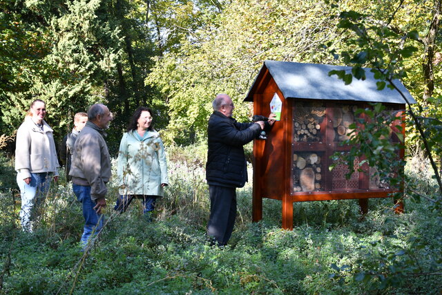 Auf einer zum Teil schon verblühten Wildblumenwiese steht rechterhand ein großes Insektenhotel. An dessen zur Wiese hin gerichteten Holzwand schraubt der Bürgermeister die Plakette Wilde Insel an. Dabei schauen ihm vier Personen, die links vom Bürgermeister stehen, zu.