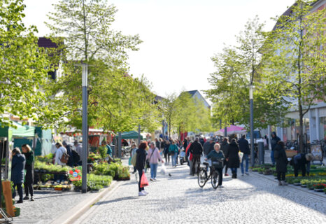 Blick in die Marktstraße beim Gartenmarkt. In der breiten Marktstraße, in der rechts und links Lindenbäume stehen, haben Händler ihre Stände mit ihren Blumen und Pflanzen aufgebaut. An den Ständen schauen sich Leute das Angebot an und zahrleiche Menschen flanieren mit gefüllten Beuteln auf der Marktstraße.