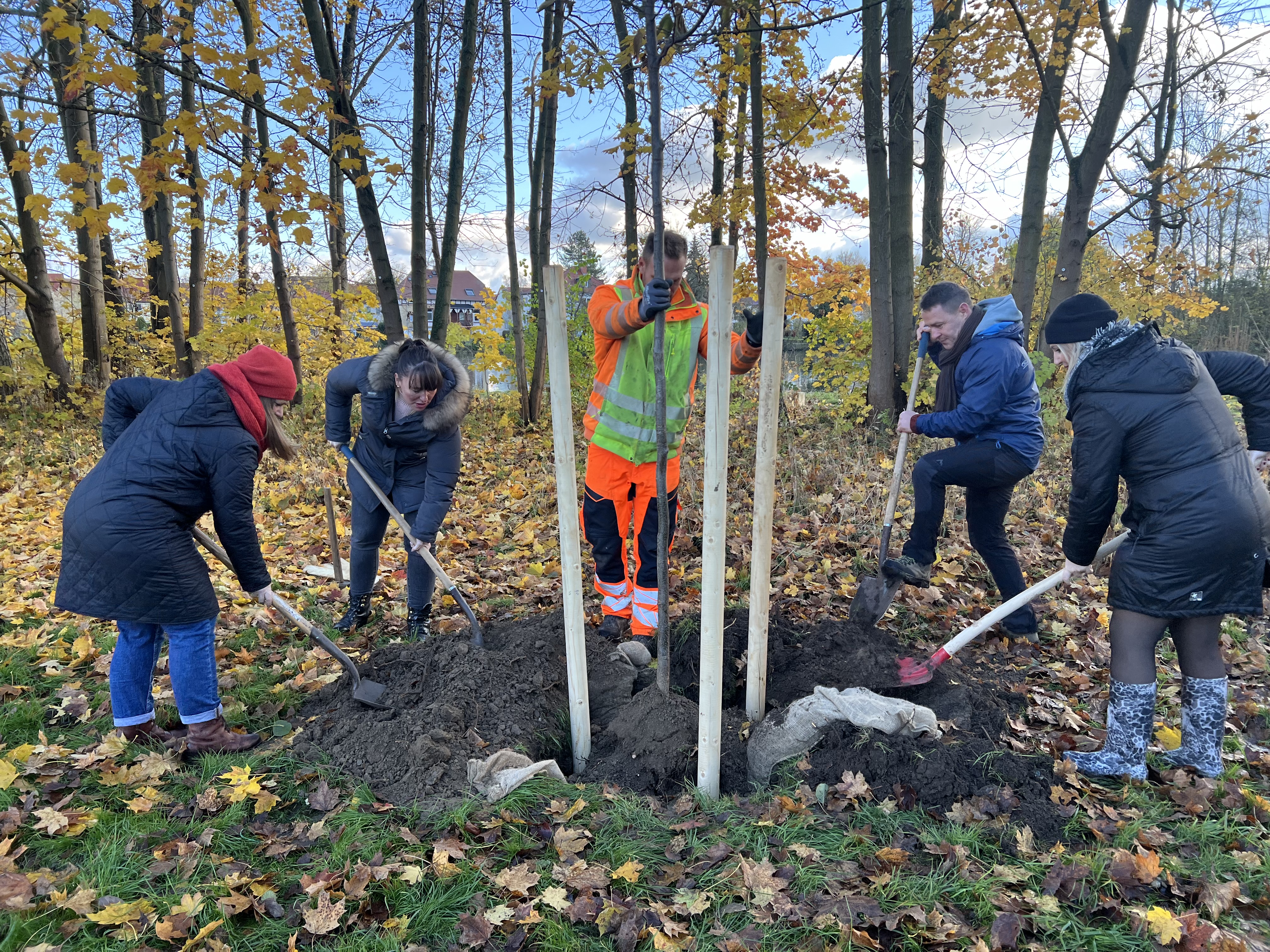 fünf Personen stehen auf einer Wiese und Pflanzen einen Baum. Dazu stehen sie um den Baum herum und kippen Erde mit Spaten in die Pflanzgrube