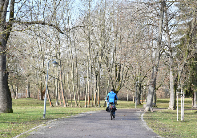 Ein Radfahrer, von hinten sichtbar, fährt auf einem Weg im Stadtpark. Rechts und links des Weges ist Wiese, darauf stehen Bäume, die bereits ihre Blätter verloren haben.